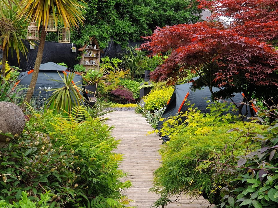 Tropical Garden Oasis Hotel in Metropolitan Borough of Solihull
