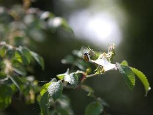 Corte all'Olmo Hotel in Veneto