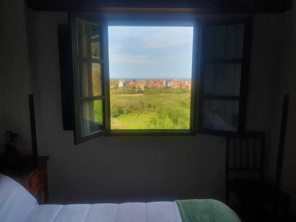 LAS MIMOSAS DEL NALON Hotel in Asturias