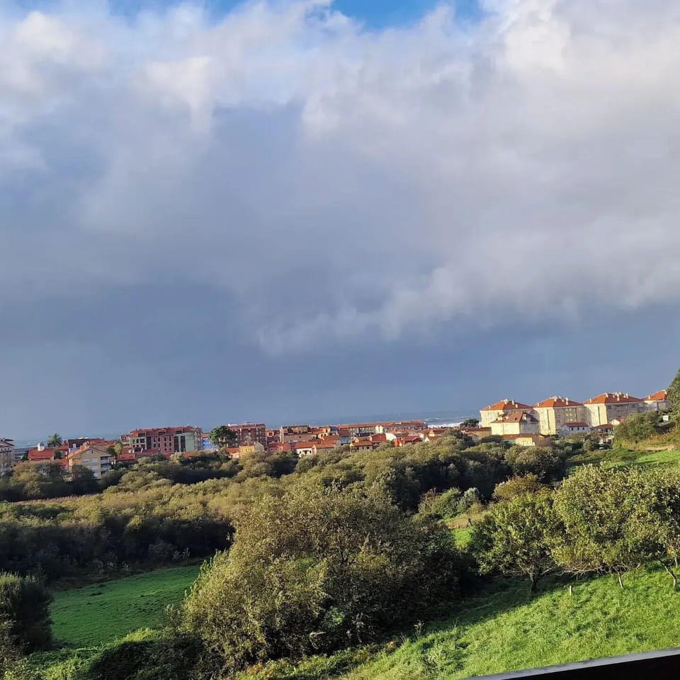 LAS MIMOSAS DEL NALON Hotel in Asturias