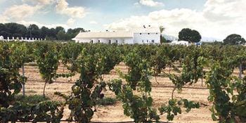 Casa Boquera Resort & Winery Hotel in Region of Murcia