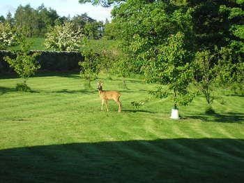 Balhousie Farm Hotel in Scotland