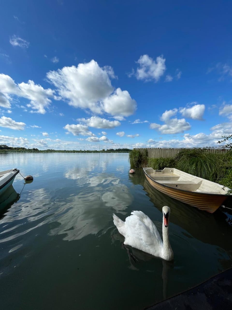 B&B Casanonni Borgo Angeli Hotel in Mantua
