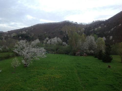 B&B Le Stanze del Moro Hotel in Liguria
