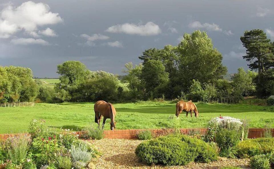 The Old Stables Hotel in England