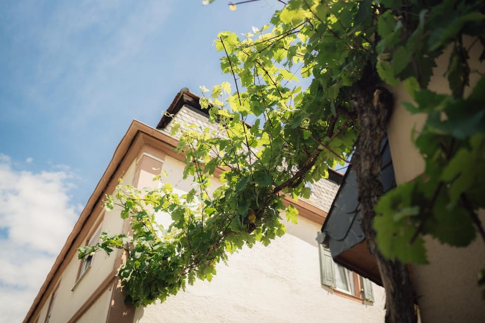 Gästehaus Alt Hotel in Rhineland-Palatinate