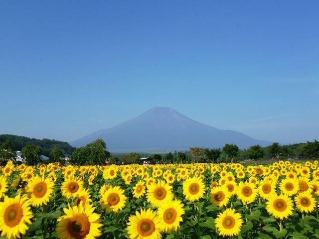 Lake Pia Angel Hotel in Shizuoka Prefecture