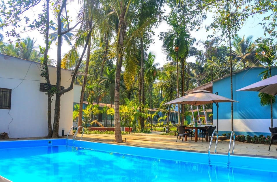 Swimming pool [outdoor]