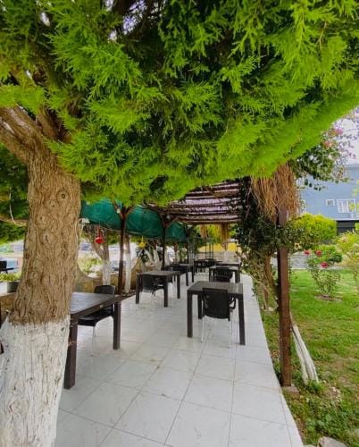 Mandarin Beach Hotel Hotel in Aydın Province