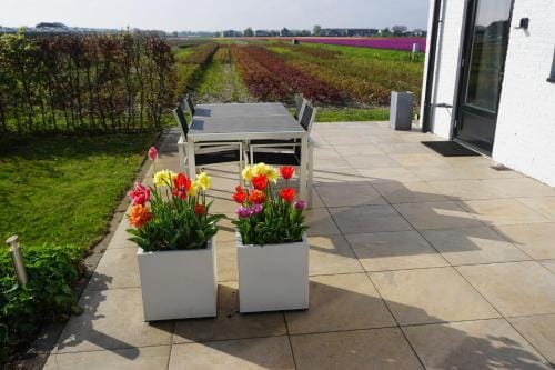 Tulip Lodges Hotel in Noordwijkerhout