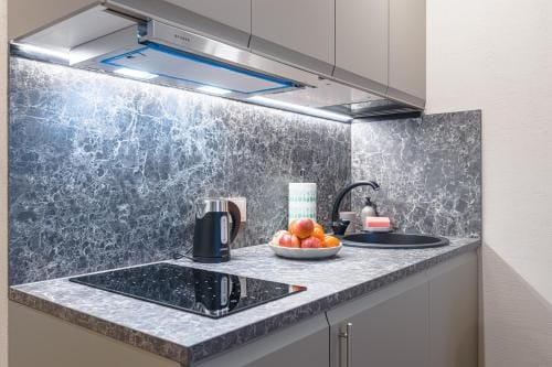 Stylish gray studio near the city center Hotel in Vilnius