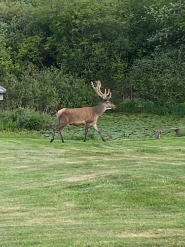 Alt det bedste mellem hav og fjord - en hel bolig Hotel in Brovst