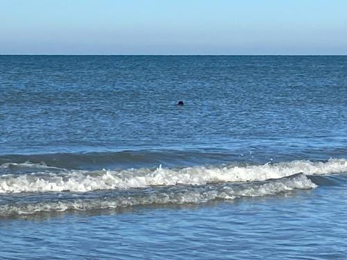 Cote mer Hotel in Normandy