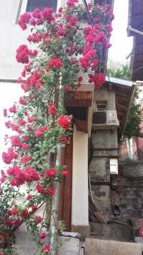 Diana Guesthouse Hotel in Veliko Tarnovo