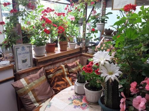 Diana Guesthouse Hotel in Veliko Tarnovo