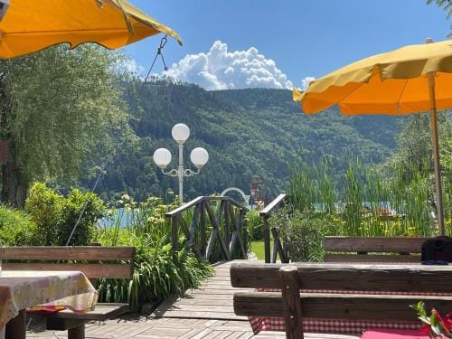 Pension Almhof Hotel in Carinthia, Austria