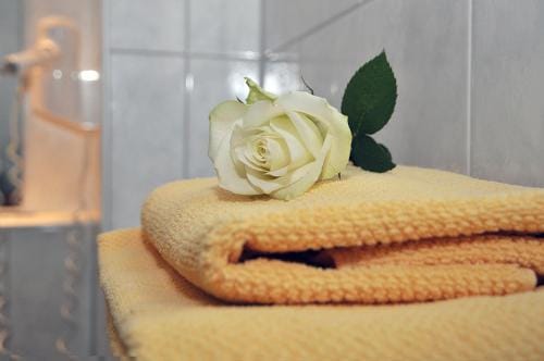 Hotel Friesen Hotel in Thuringia, Germany