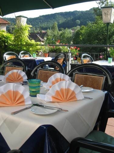 Gasthof zum Adler - Wahlwies-3 km z Bodensee Hotel geoffnet - Rest-Mo-Di-geschl Hotel in Baden-Württemberg