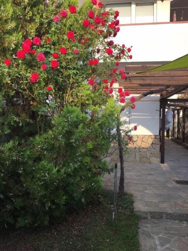 Guest House Dobrev Hotel in Decentralized Administration of Macedonia and Thrace
