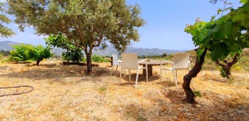 Olive Grove Cottage Guest house Hotel in Limassol District