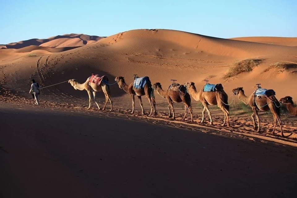 Akwabir Eco Camp Hotel in Morocco