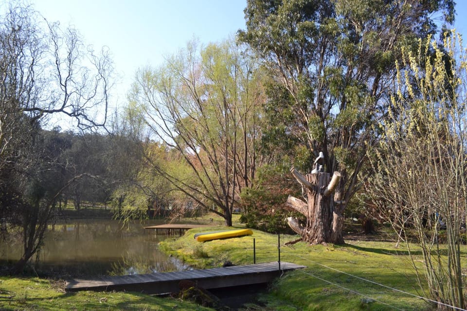 Whispering Spirit Holiday Cottages & Mini Ponies Lodge in Tasmania