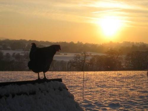 Ladderstile Retreat Hotel in Staffordshire Moorlands District