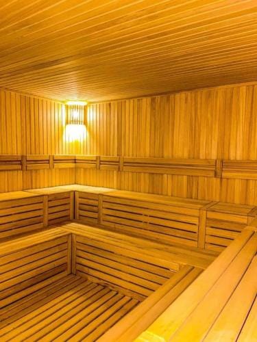 Apartman Alastra AP 02 President Kop Hotel in Serbia