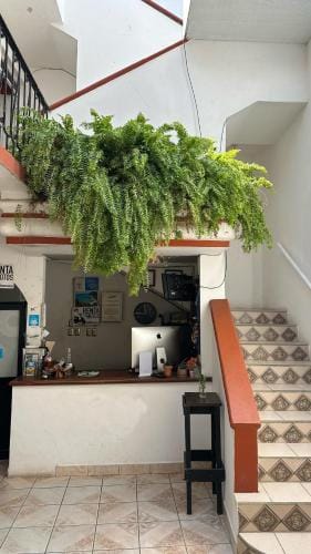 Arena Surf Hotel, Puerto Escondido Hotel in Puerto Escondido