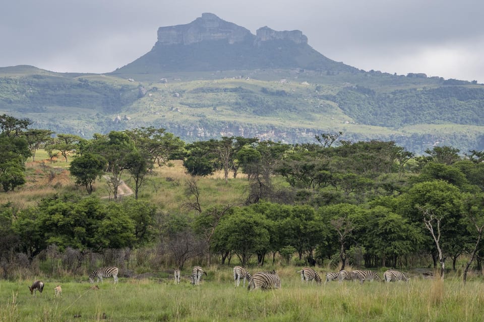 Sasi Bush Lodge Hotel in KwaZulu-Natal