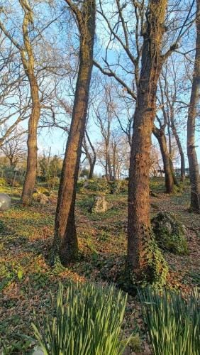 B&B Il Fiore nel Bosco Hotel in Umbria
