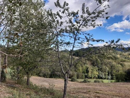 Affittacamere Rocca Hotel in Marche