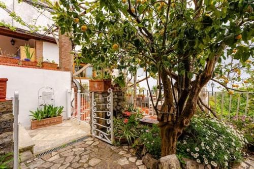 Villa Asia Relais Hotel in Massa Lubrense