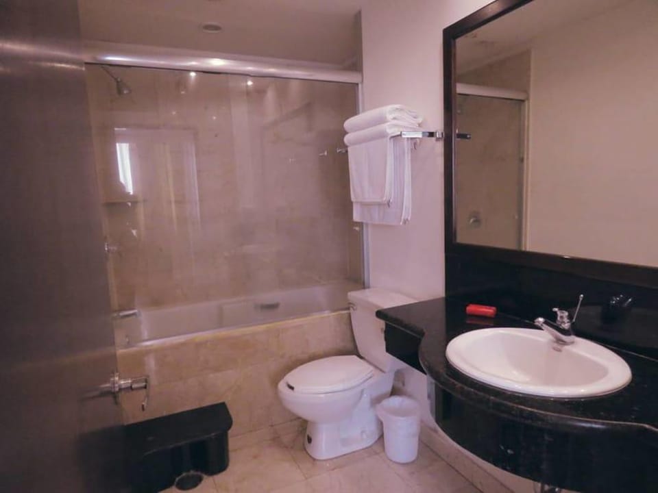 Suites Melchor Ocampo Hotel in Mexico City