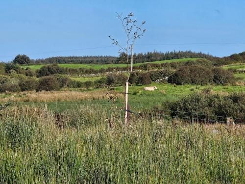 Suaimhneas Hotel in County Clare