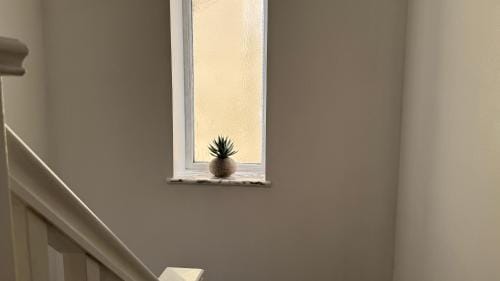 The Nook shared house Hotel in Bristol