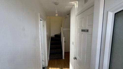 The Nook shared house Hotel in Bristol