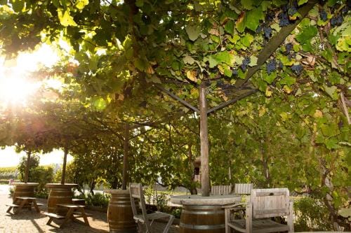 Cave Du Treyblanc Hotel in Canton of Vaud