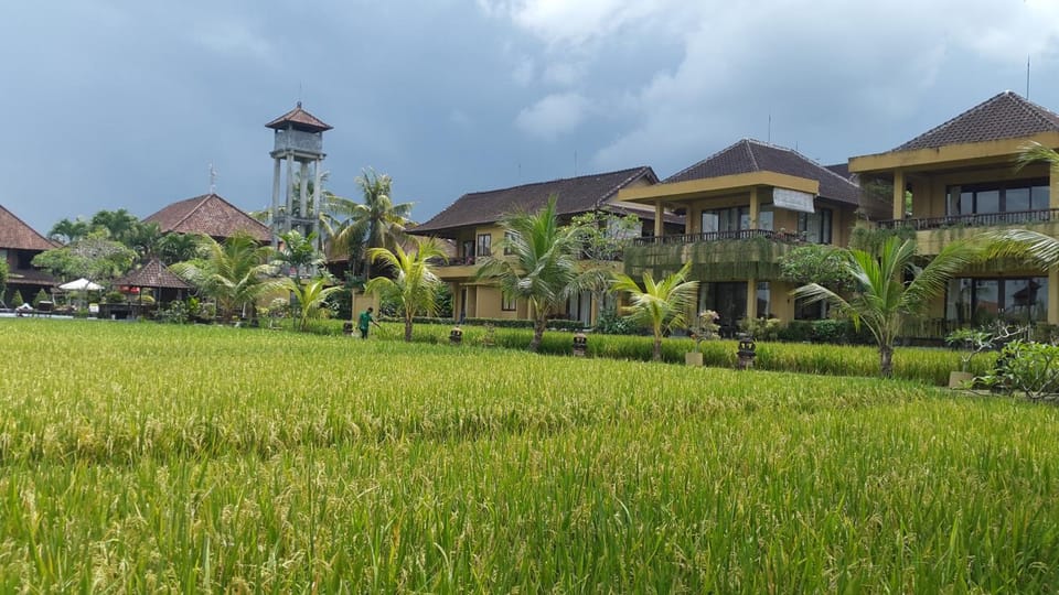 Surrounding environment