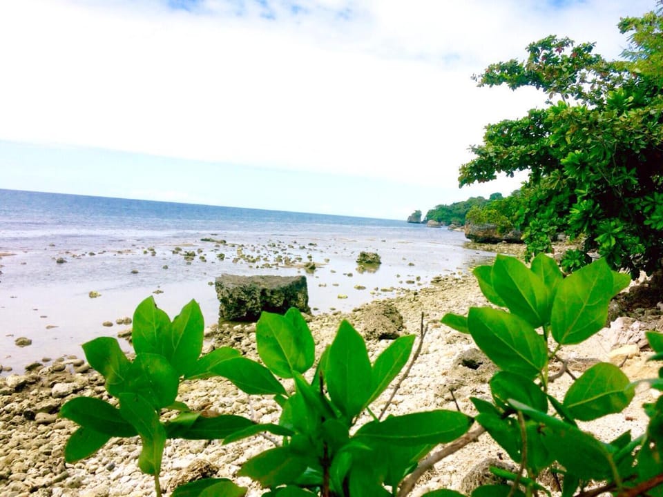 EL Gianni's Hostel Hostel in Central Visayas