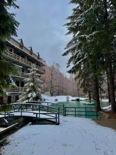 Burimi i Valbones Hotel in Montenegro