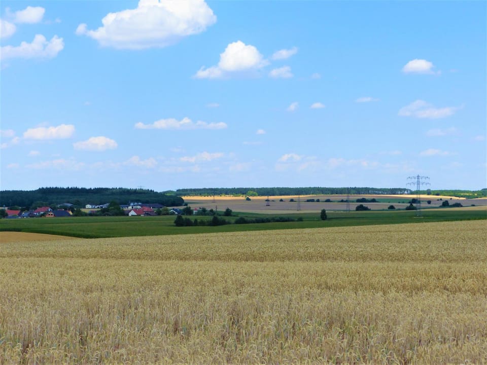 Gruner Baum Hotel in Hesse