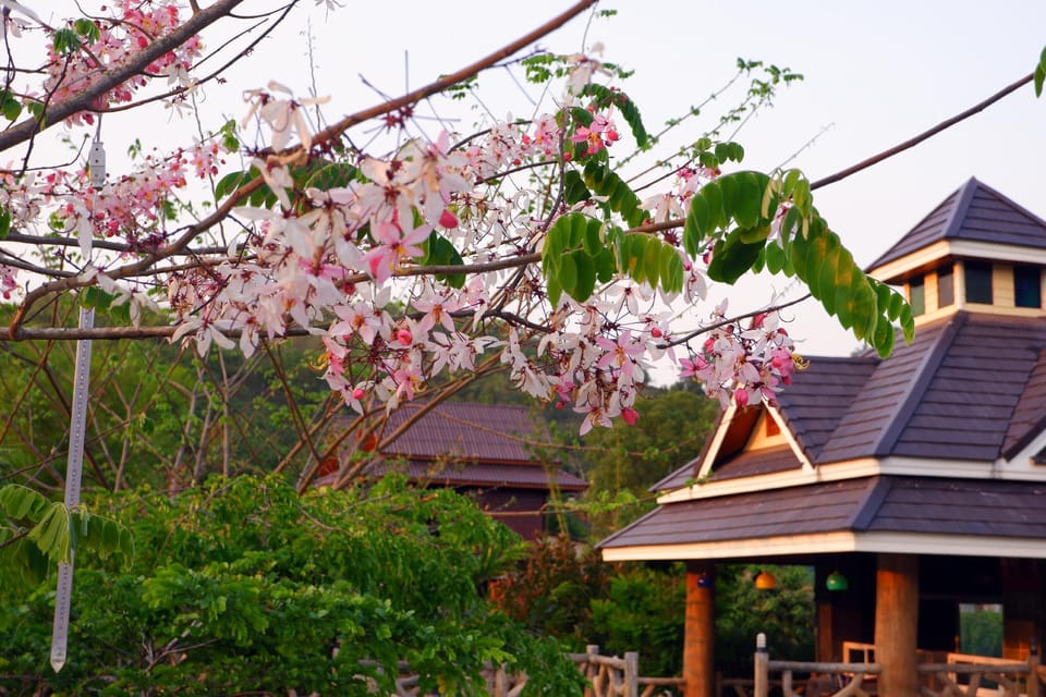 Rattikanchana Resort in Thailand