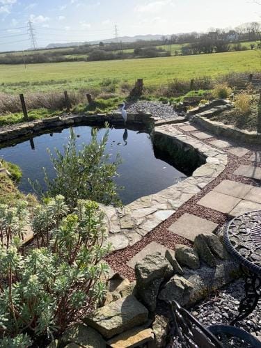 Frongaer Bed And Breakfast Hotel in Wales
