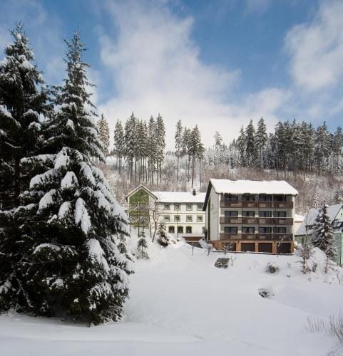 Gasthof Rodachtal mit Gastehaus Katharina Hotel in Thuringia, Germany