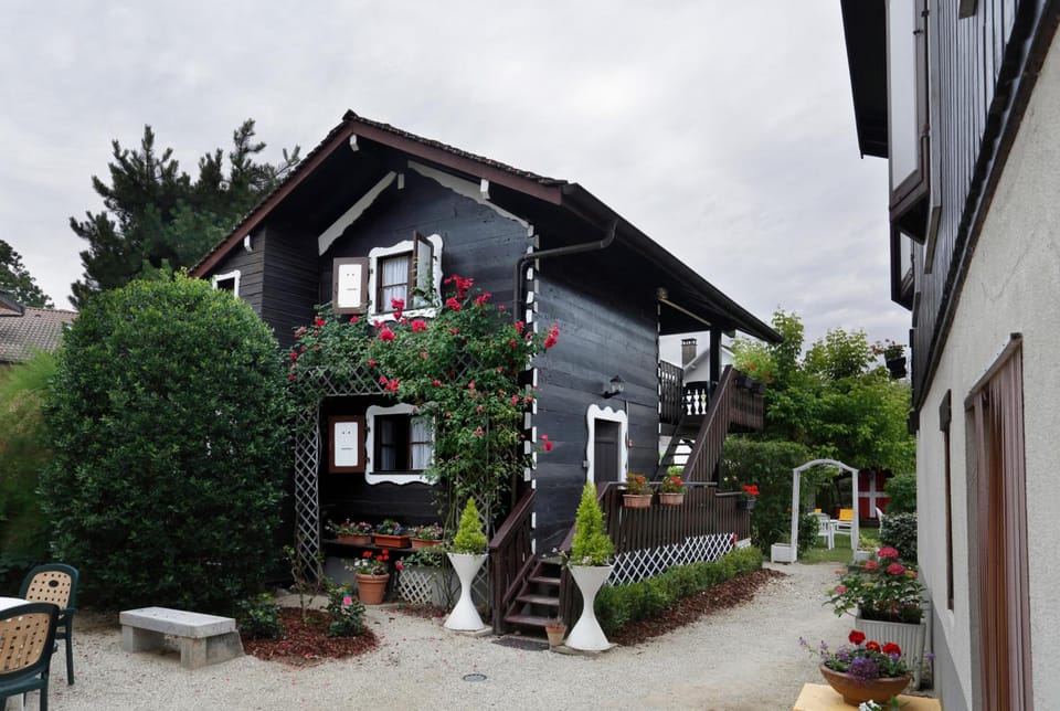 HOTEL LES MARRONNIERS Hotel in Thonon-les-Bains