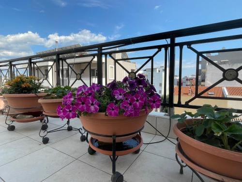 Central Apartment AXD Hotel in Alexandroupoli