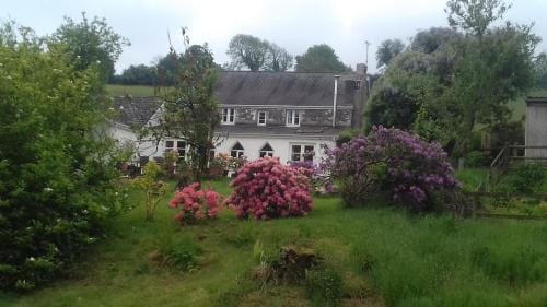 Hills Farm B&B Laugharne Hotel in Laugharne