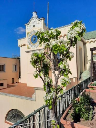 B&B Dimora Cortese Hotel in Naples