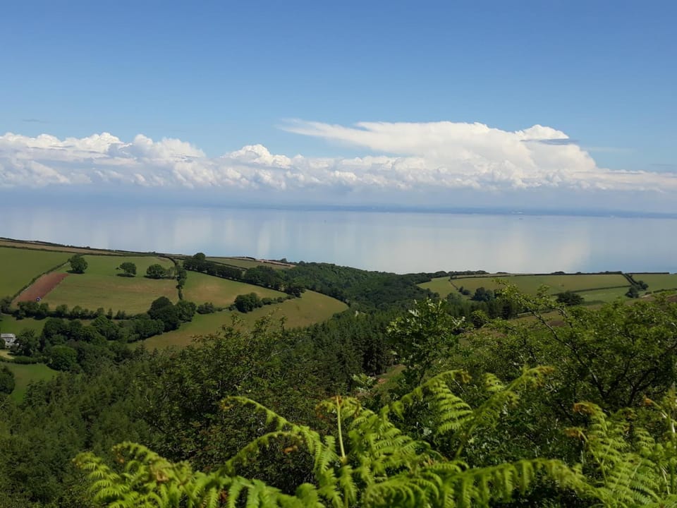 Montrose Guest House Hotel in Minehead